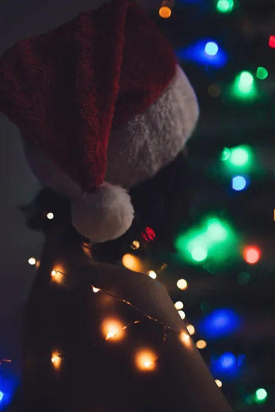 Chica Sexy Sombrero Santa Claus Con Guirnalda Fondo Árbol Navidad — Foto de Stock