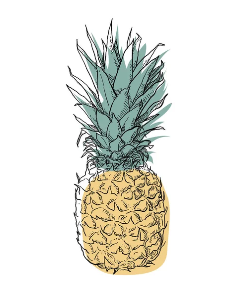 Ananas tatlı bir tadı ve ferahlatıcı bir hissi olan bir meyvedir..