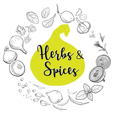 Yiyecek hazırlamak için doğal otlar ve baharatlar.