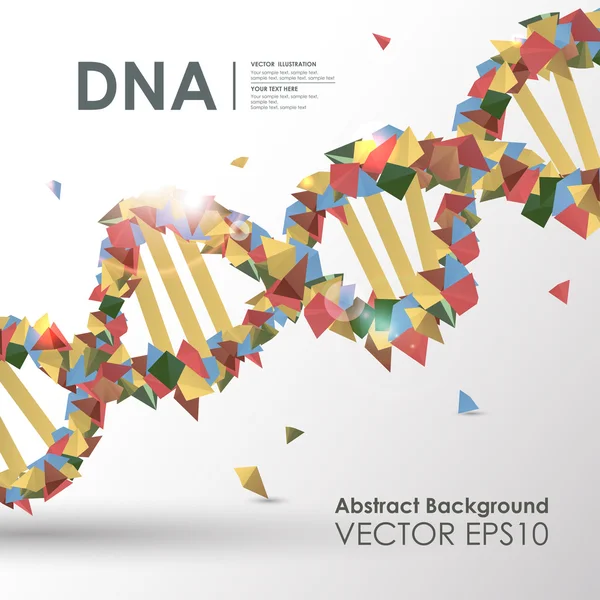 Polygonal designkoncept Dna — Stock vektor