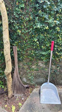 Beton Duvarda Süpürge ve Faraş Yeşil Sarmaşığa Karşı Dinleniyor