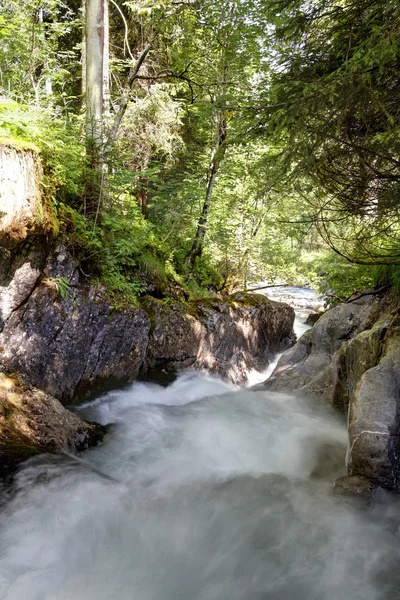 Rivière de montagne le matin — Photo