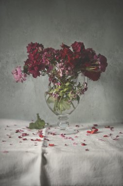 Cam vazo içinde sunulan Sardunya