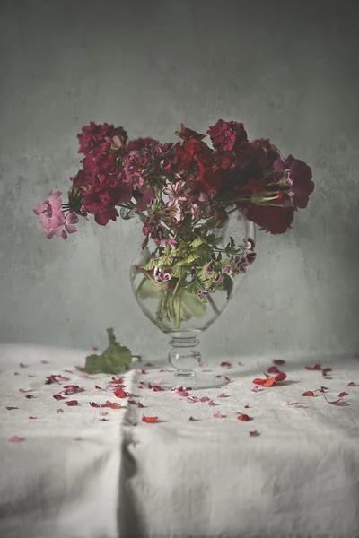 Cam vazo içinde sunulan Sardunya