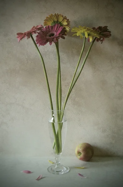 Nature morte florale — Photo