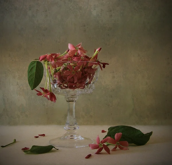 Çiçekli natürmort — Stok fotoğraf