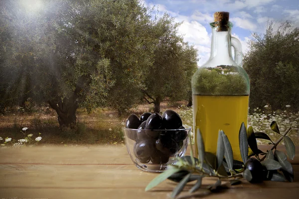 Olive oil — Stock Photo, Image