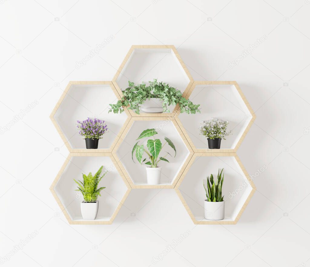 Hexagon wooden shelf, Minimal Japanese style. plant in hexegon, interior white background