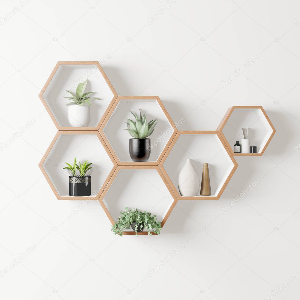 wooden Hexagon shelf with plants copy space for mock up ,isolated background