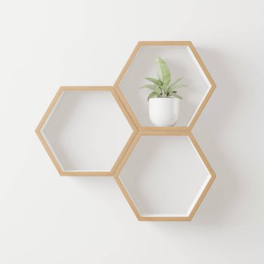 ahşap altıgen raf ve ağaç kopyalama alanı maket için, izole arkaplan - 3d oluşturma -