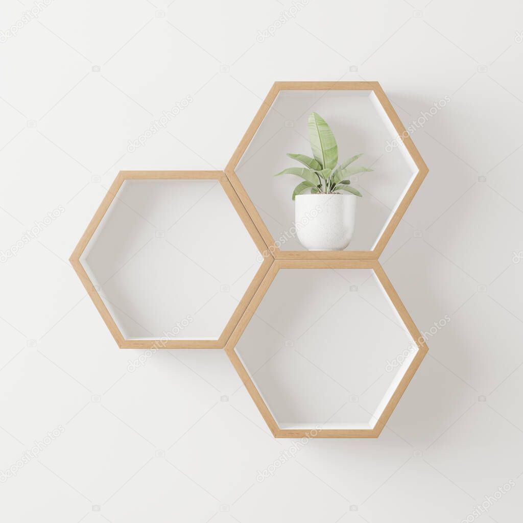 wooden Hexagon shelf and tree copy space for mock up ,isolated background - 3d rendering -