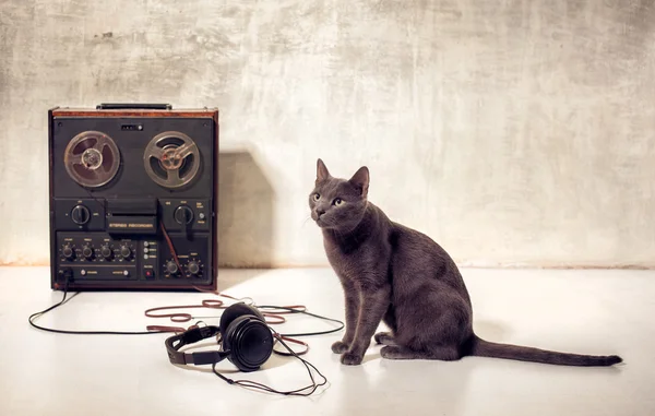 Gato con magnetófono y auriculares — Foto de Stock