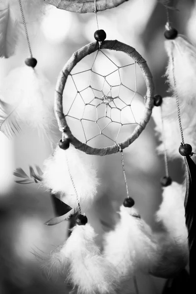 Svartvitt foto dream catcher på flerfärgad bakgrund — Stockfoto