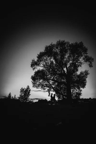 Siyah beyaz fotoğraf Romantik Çift ayakta ve arka plan yaz çayır üzerinde öpüşme — Stok fotoğraf