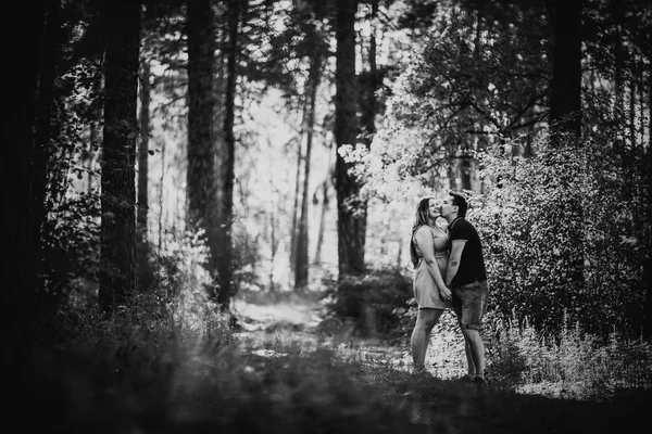 Black white photography romantic young couple kissing on background summer forest — Stock Photo, Image