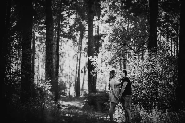 Black white photography  romantic young couple kissing on background summer forest — Stock Photo, Image