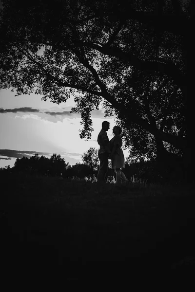 Μαύρο και άσπρο φωτογραφία Ρομαντικό ζευγάρι στέκεται και φιλιά στο Λιβάδι το καλοκαίρι φόντο — Φωτογραφία Αρχείου