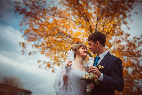 Young bride and groom on the background of autumn landscape — Stock Photo, Image