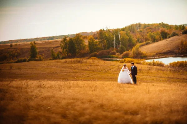 Jeune mariée et marié sur le fond de champ — Photo