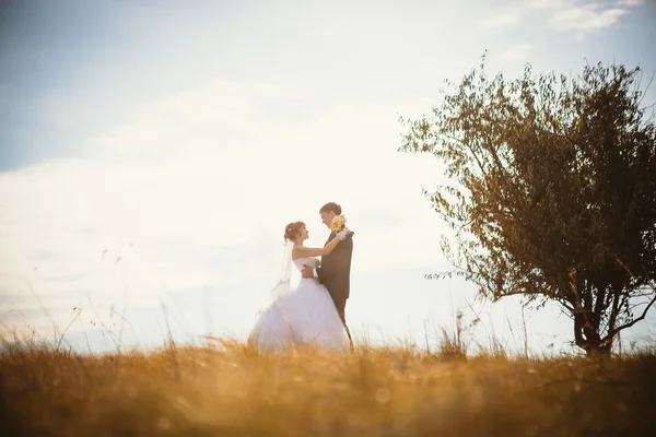 Jonge bruid en bruidegom op de achtergrond van veld — Stockfoto