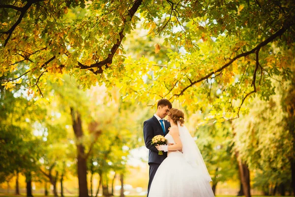 Novios jóvenes en el fondo del paisaje otoñal — Foto de Stock