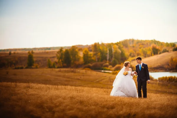 Jeune mariée et marié sur le fond de champ — Photo