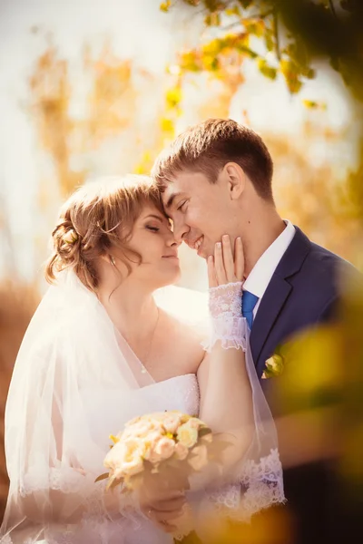 Jonge bruid en bruidegom op de blauwer achtergrond — Stockfoto