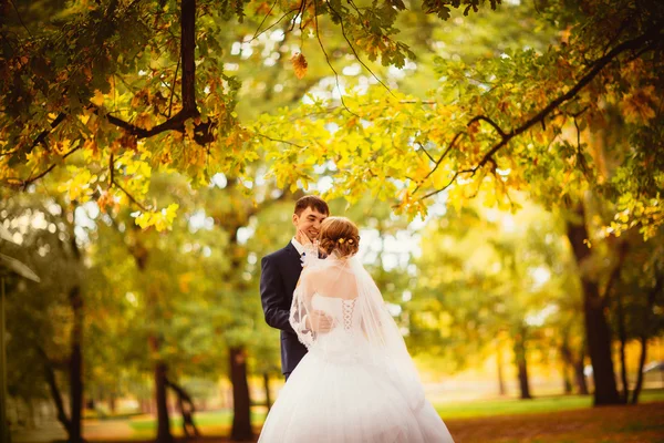 Junges Brautpaar vor dem Hintergrund der herbstlichen Landschaft — Stockfoto