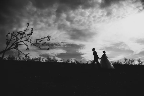 Silhouettes of young bride and groom on the background sky — Stock Photo, Image
