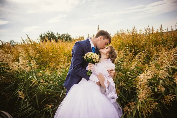 Unga bruden och brudgummen på bakgrund av fältet — Stockfoto