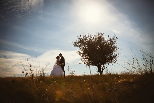 Jonge bruid en bruidegom op de achtergrond van veld — Stockfoto