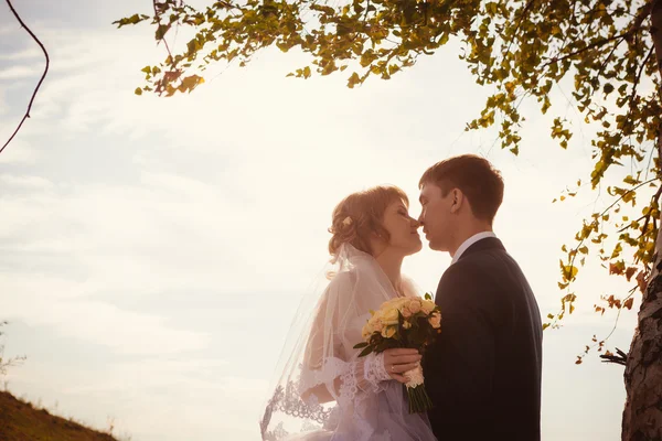 Young bride and groom on the background of lake — Stock Photo, Image