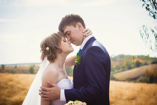 Young bride and groom on the background of field — Stock Photo, Image