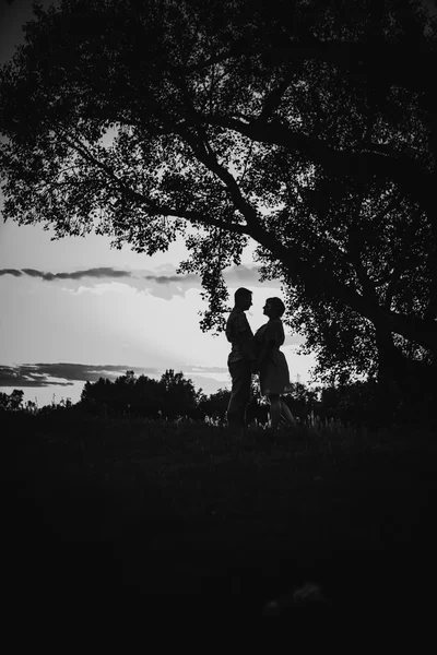 黒の白の写真ロマンチックなカップルは立っていると背景夏の草原にキス — ストック写真