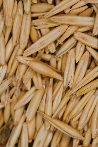 Lot of fresh beans close-up oats — Stock Photo, Image