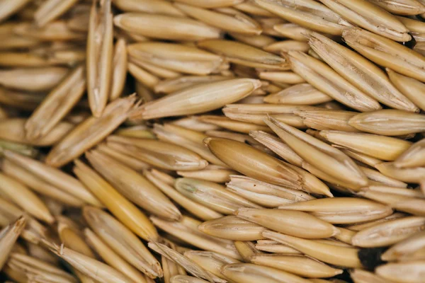 Lot of fresh beans close-up oats — Stock Photo, Image