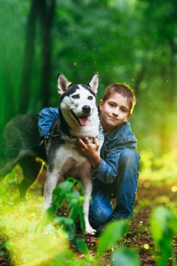 çocuk ve köpeği husky arka plan bahar yaprakların üzerinde