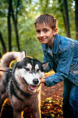 çocuk ve köpeği husky arka plan bahar yaprakların üzerinde