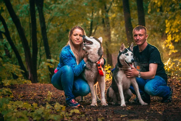 Familia con perros husky en el bosque —  Fotos de Stock