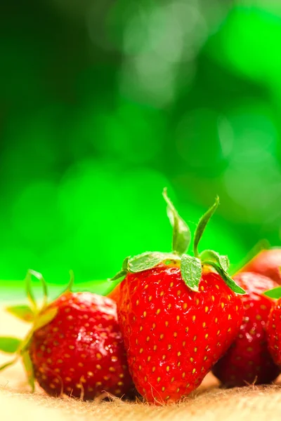 Fresh strawberries closeup on the blurry background — Stock Photo, Image