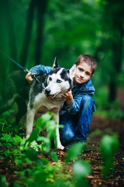 Niño y su perro husky en el fondo de las hojas en primavera —  Fotos de Stock