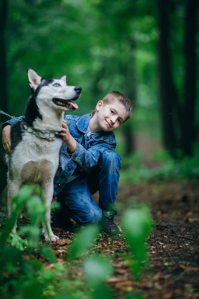 Niño y su perro husky en el fondo de las hojas en primavera —  Fotos de Stock