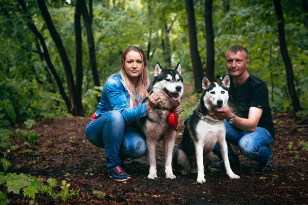 森でハスキー犬と家族 — ストック写真