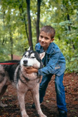 çocuk ve köpeği husky arka plan bahar yaprakların üzerinde