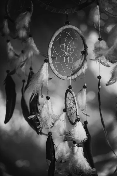Černo-bílé fotografie lapač snů v západu slunce fialové tmavé pozadí — Stock fotografie