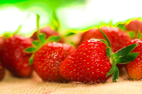 Few berries with fresh strawberries on a fabric — Stock Photo, Image