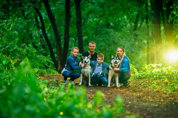 子供、およびフォレストのハスキー犬と家族 — ストック写真