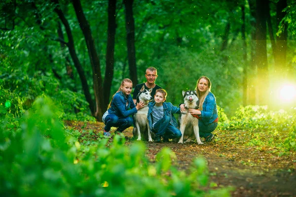 Familj med barn och husky hundar i skogen — Stockfoto