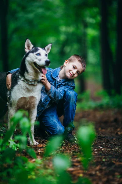 Niño y su perro husky en el fondo de las hojas en primavera —  Fotos de Stock