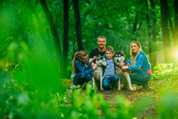 Rodina s dětmi a psy husky v lese — Stock fotografie